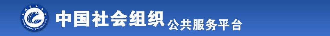 嗯嗯aaa全国社会组织信息查询